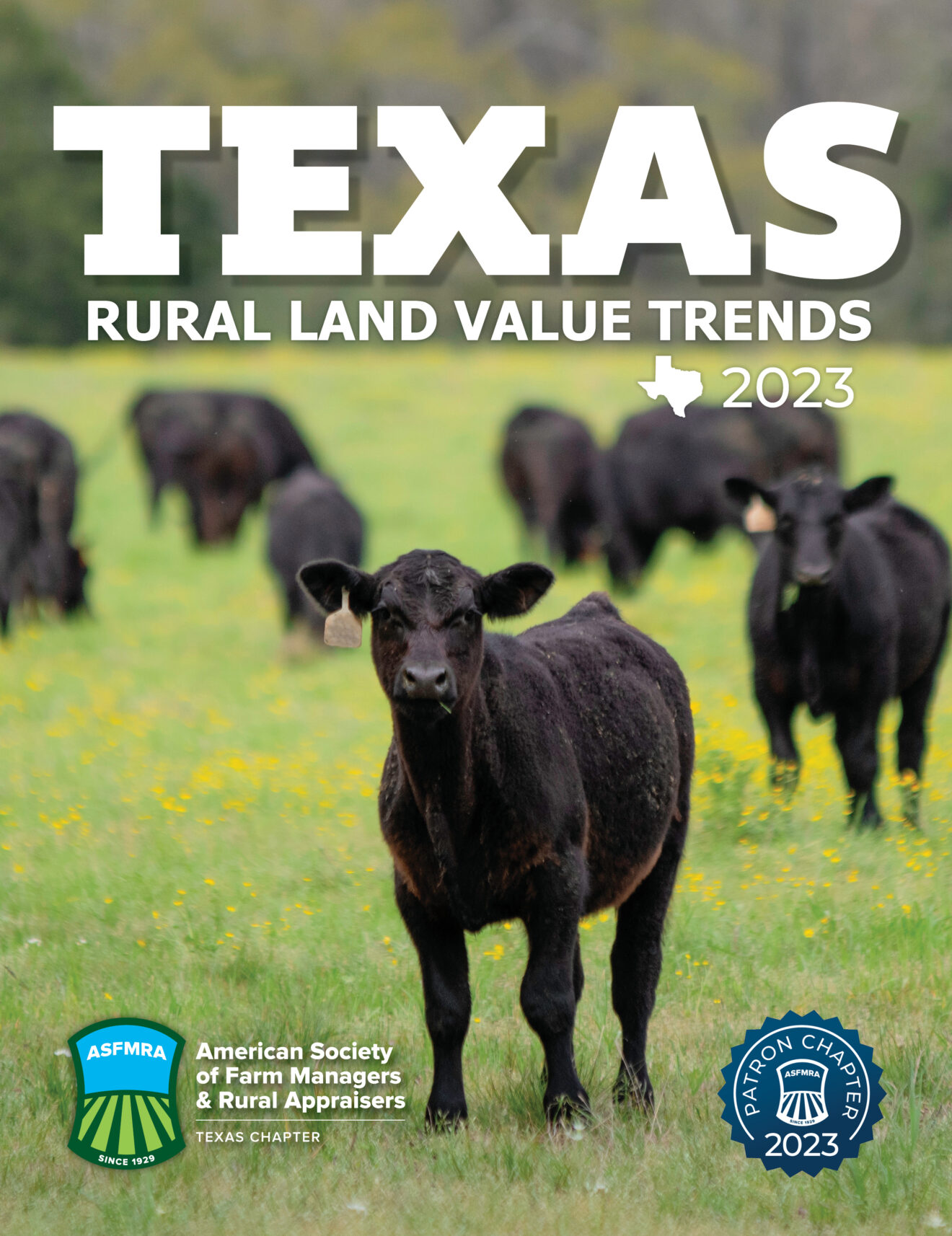 Rural Land Trends Texas Chapter ASFMRA